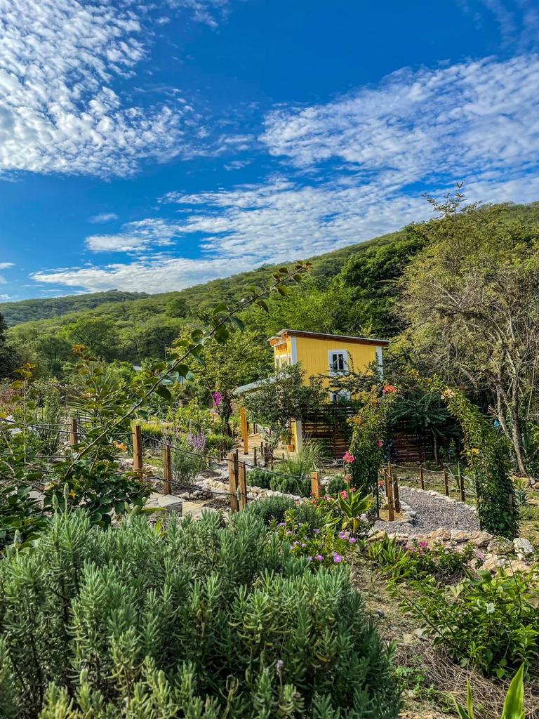 cabaña,jalpandeserra,pueblomagico,casitabugambilia,petfriendly,fogata,terraza,naturaleza,hospedaje,sierragorda 